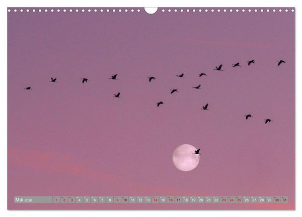 Produktbild: Vollmond - Momente der Ruhe (Wandkalender 2026 DIN A3 quer), CALVENDO Monatskalender