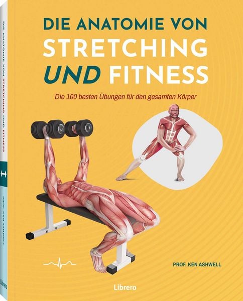 Die Anatomie von Stretching und Fitness, Taschenbuch von Ken Ashwell, Librero, 978-94-6499-195-6