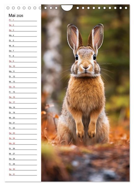 Produktbild: Ganz von vorn (Wandkalender 2026 DIN A4 hoch), CALVENDO Monatskalender