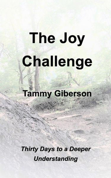 Produktbild: The Joy Challenge