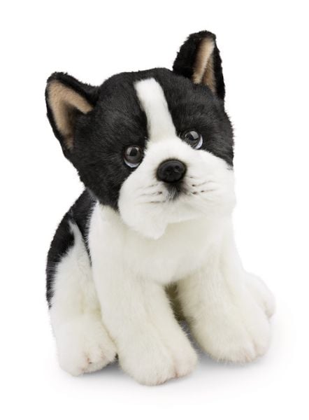 Kuscheltier Hund Bosten Terrier 20cm