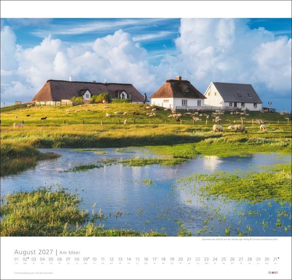 Produktbild: Am Meer Edition Kalender 2027 - Sand, Wind und Wellen