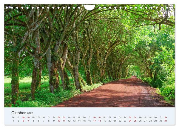 Produktbild: Entdecke Galapagos (Wandkalender 2026 DIN A4 quer), CALVENDO Monatskalender