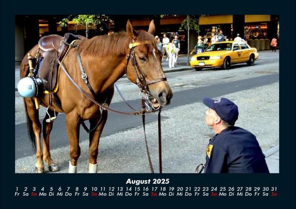Produktbild: Die Welt der Pferde 2025 Fotokalender DIN A4
