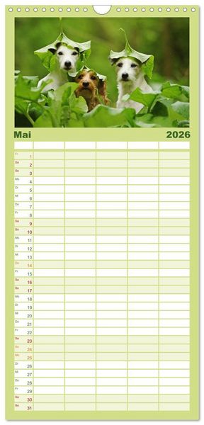 Produktbild: Familienplaner 2026 - Die Parson-Russell-Terrier ...mit neuen Abenteuern aus der Hundeknipserei mit 5 Spalten (Wandkalender, 21 x 45 cm) CALVENDO