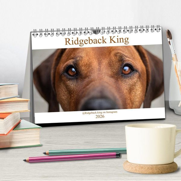 Produktbild: Ridgeback King (Tischkalender 2026 DIN A5 quer), CALVENDO Monatskalender