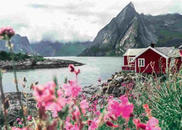 Produktbild: Erwachsenenpuzzle 1000 Teile - Reine, Lofoten, Norwegen