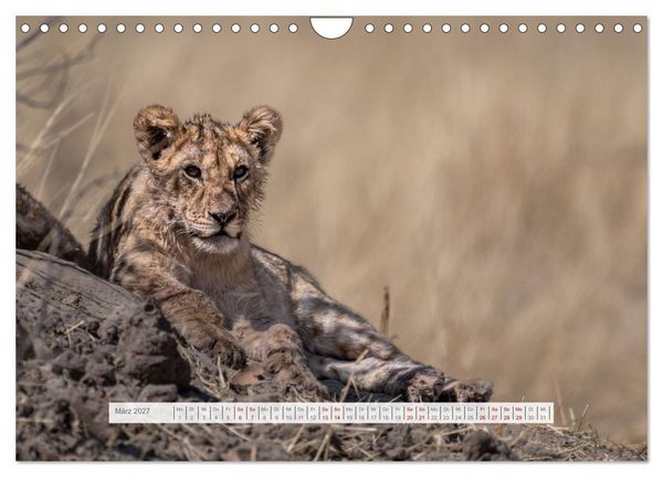 Produktbild: Namibia &ndash; Farben des Lebens (Wandkalender 2027 DIN A4 quer), CALVENDO Monatskalender