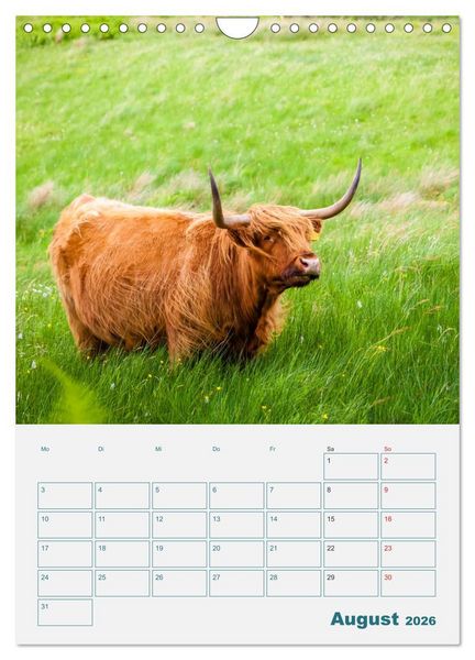 Produktbild: Isle of Skye - Raues Inselparadies (Wandkalender 2026 DIN A4 hoch), CALVENDO Monatskalender