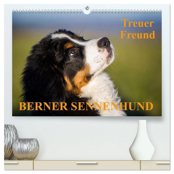 Treuer Freund Berner Sennenhund (hochwertiger Premium Wandkalender 2026 DIN A2 quer), Kunstdruck in Hochglanz