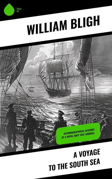 Produktbild: A Voyage to the South Sea