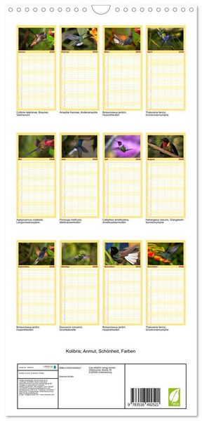 Produktbild: Familienplaner 2026 - Kolibris; Anmut, Sch&ouml;nheit, Farben mit 5 Spalten (Wandkalender, 21 x 45 cm) CALVENDO