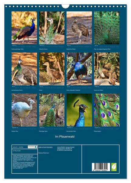 Produktbild: Im Pfauenwald (Wandkalender 2026 DIN A3 hoch), CALVENDO Monatskalender