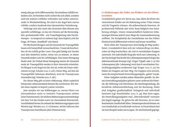Produktbild: Sternenkind: Trauer verstehen und begleiten