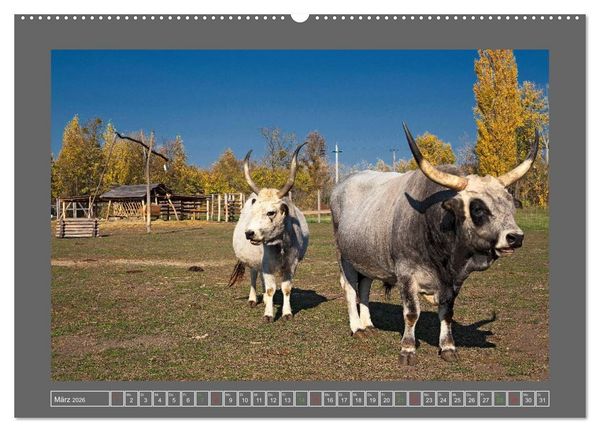 Produktbild: Ungarn - um den westlichen Balaton (hochwertiger Premium Wandkalender 2026 DIN A2 quer), Kunstdruck in Hochglanz