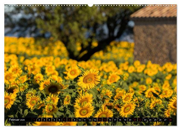 Produktbild: Provence im Rausch der Farben (Wandkalender 2026 DIN A2 quer), CALVENDO Monatskalender
