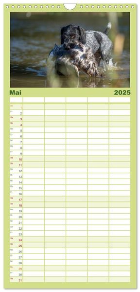 Familienplaner 2025 - Jagdhunde bei der Arbeit mit 5 Spalten (Wandkalender, 21 x 45 cm) CALVENDO