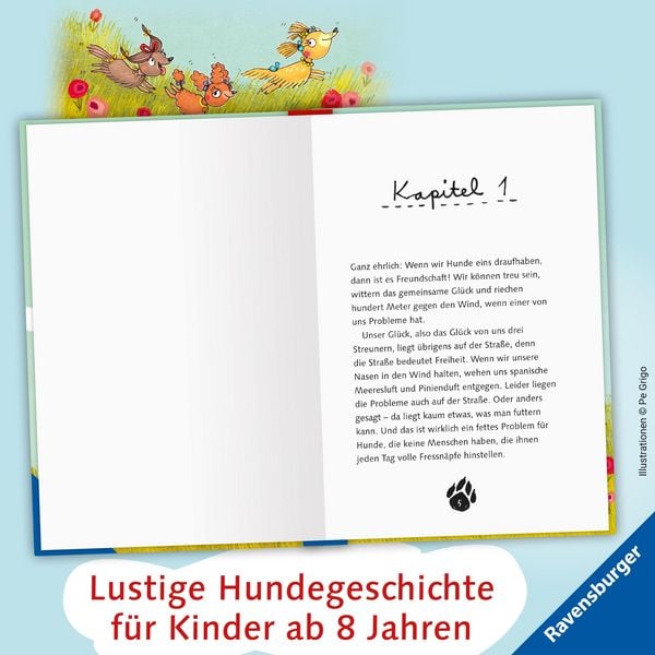 Produktbild: 3 Streuner wittern das Abenteuer