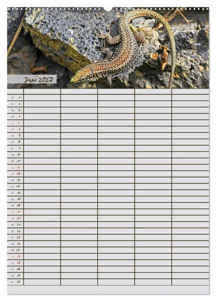 Produktbild: Tierischer Familienplaner (hochwertiger Premium Wandkalender 2027 DIN A2 hoch), Kunstdruck in Hochglanz