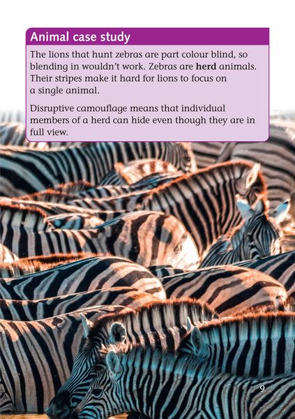 Produktbild: BIG CAT_COMMUNICATE IN COLOUR