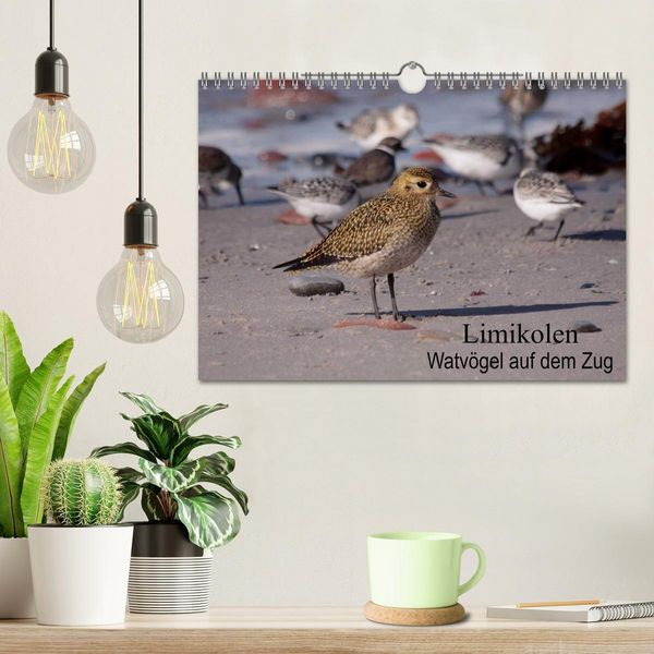 Produktbild: Limikolen Watv&ouml;gel auf dem Zug (Wandkalender 2026 DIN A4 quer), CALVENDO Monatskalender