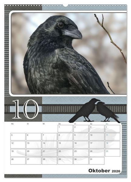 Produktbild: Kr&auml;hen - Clever notiert! Mit K&ouml;pfchen durchs ganze Jahr (Wandkalender 2026 DIN A2 hoch), CALVENDO Monatskalender