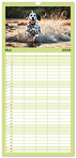 Produktbild: Familienplaner 2026 - Dalmatiner - freundliche Temperamentsbolzen mit 5 Spalten (Wandkalender, 21 x 45 cm) CALVENDO