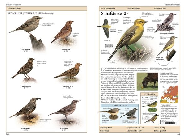Produktbild: V&ouml;gel in Europa