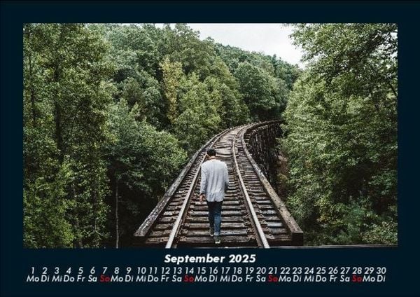 Produktbild: B&auml;ume 2025 Fotokalender DIN A5