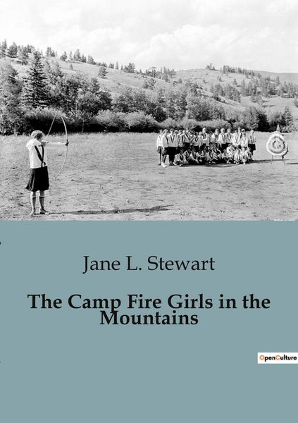 Produktbild: The Camp Fire Girls in the Mountains
