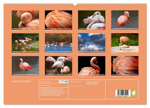 Produktbild: Flamingo Zauber (hochwertiger Premium Wandkalender 2026 DIN A2 quer), Kunstdruck in Hochglanz