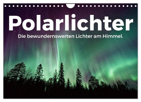 Polarlichter - Die bewundernswerten Lichter am Himmel. (Wandkalender 2026 DIN A4 quer), CALVENDO Monatskalender