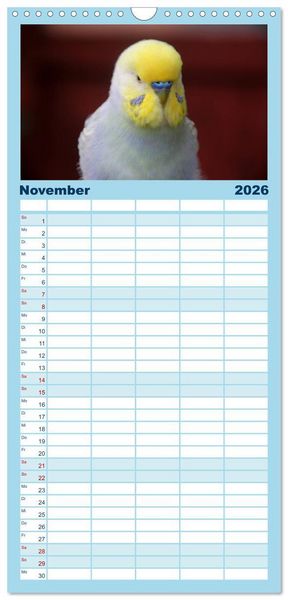 Produktbild: Familienplaner 2026 - Wellensittichtr&auml;ume - Der neue Wellensittich-Naturkalender mit 5 Spalten (Wandkalender, 21 x 45 cm) CALVENDO