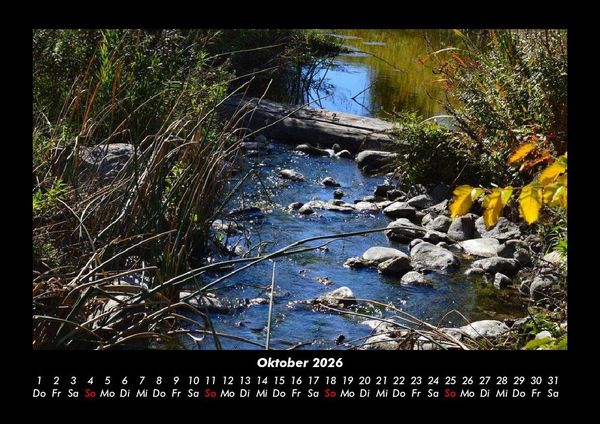 Produktbild: Pflanzen und Bl&uuml;ten 2026 Fotokalender DIN A3