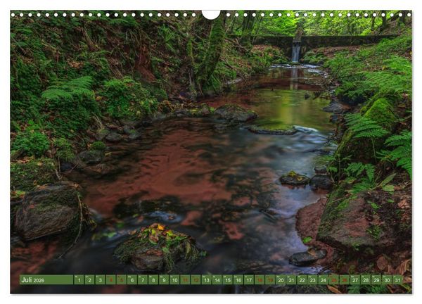 Produktbild: Augenschmaus Pf&auml;lzer Wald (Wandkalender 2026 DIN A3 quer), CALVENDO Monatskalender