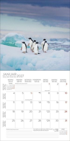 Produktbild: Pinguine 2027