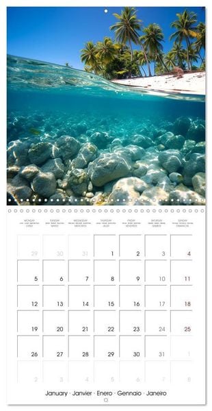 Produktbild: Beside tropical beaches (Wall Calendar 2026 12 &times; 12 Inch) CALVENDO 12 Month Wall Calendar