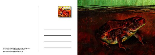 Produktbild: Von den Waldtieren &ndash; Ein Postkartenbuch