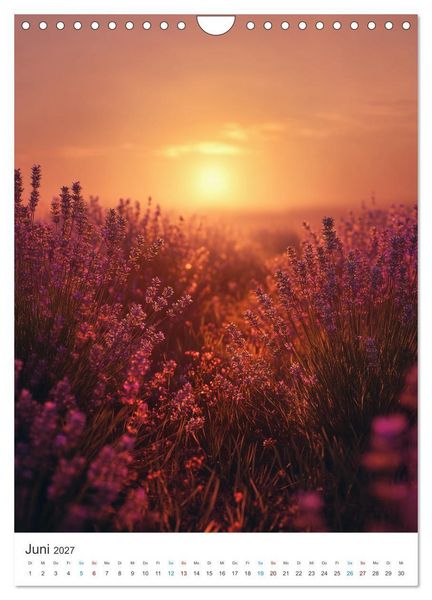 Produktbild: Der Sommer bl&uuml;ht violett (Wandkalender 2027 DIN A4 hoch), CALVENDO Monatskalender