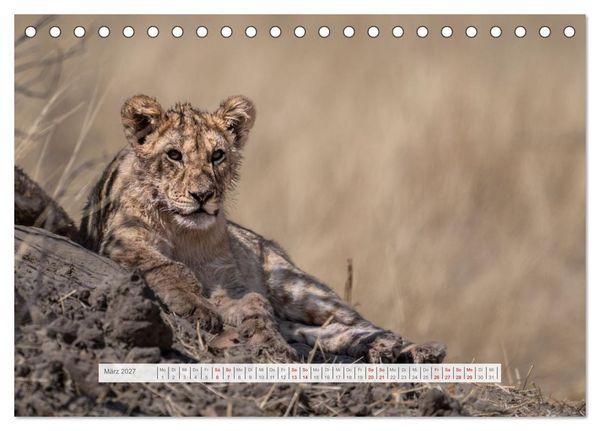 Produktbild: Namibia &ndash; Farben des Lebens (Tischkalender 2027 DIN A5 quer), CALVENDO Monatskalender