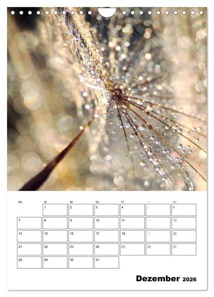 Produktbild: Zauberhafte Bl&uuml;tenwelt / Planer (Wandkalender 2026 DIN A4 hoch), CALVENDO Monatskalender