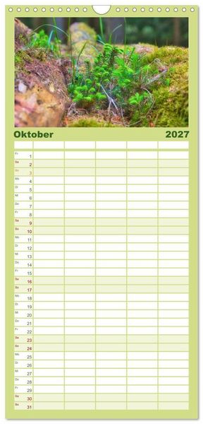 Produktbild: Familienplaner 2027 - Vielfalt am Waldboden mit 5 Spalten (Wandkalender, 21 x 45 cm) CALVENDO
