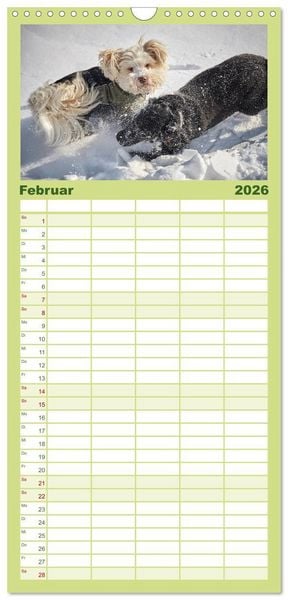 Produktbild: Familienplaner 2026 - Havaneser - Herz aus Gold mit 5 Spalten (Wandkalender, 21 x 45 cm) CALVENDO