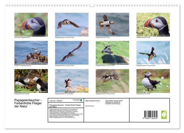 Produktbild: Papageientaucher - Farbenfrohe Flieger der Natur (hochwertiger Premium Wandkalender 2026 DIN A2 quer), Kunstdruck in Hochglanz