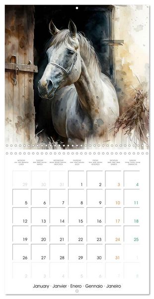 Produktbild: Regard sur la ferme (Calendrier mural carr&eacute; 2026 30x30 cm) Calendrier double avec une page pour vos prises de notes