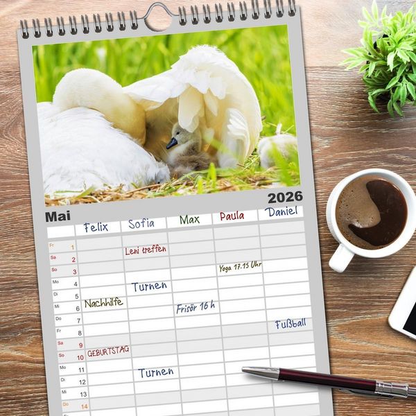 Produktbild: Familienplaner 2026 - Der H&ouml;ckerschwan elegant und stolz mit 5 Spalten (Wandkalender, 21 x 45 cm) CALVENDO