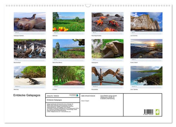 Produktbild: Entdecke Galapagos (Wandkalender 2026 DIN A2 quer), CALVENDO Monatskalender