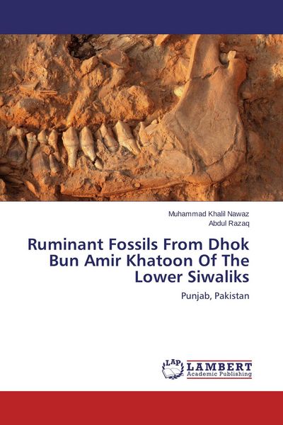Produktbild: Ruminant Fossils From Dhok Bun Amir Khatoon Of The Lower Siwaliks