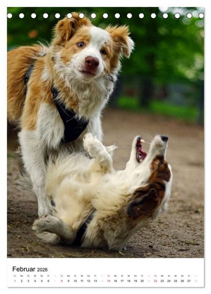 Produktbild: Hundefreunde (Tischkalender 2026 DIN A5 hoch), CALVENDO Monatskalender