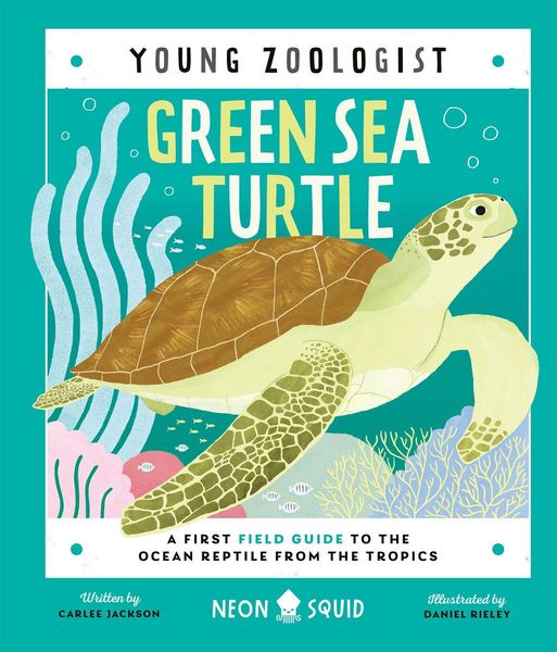 Produktbild: Green Sea Turtle (Young Zoologist)